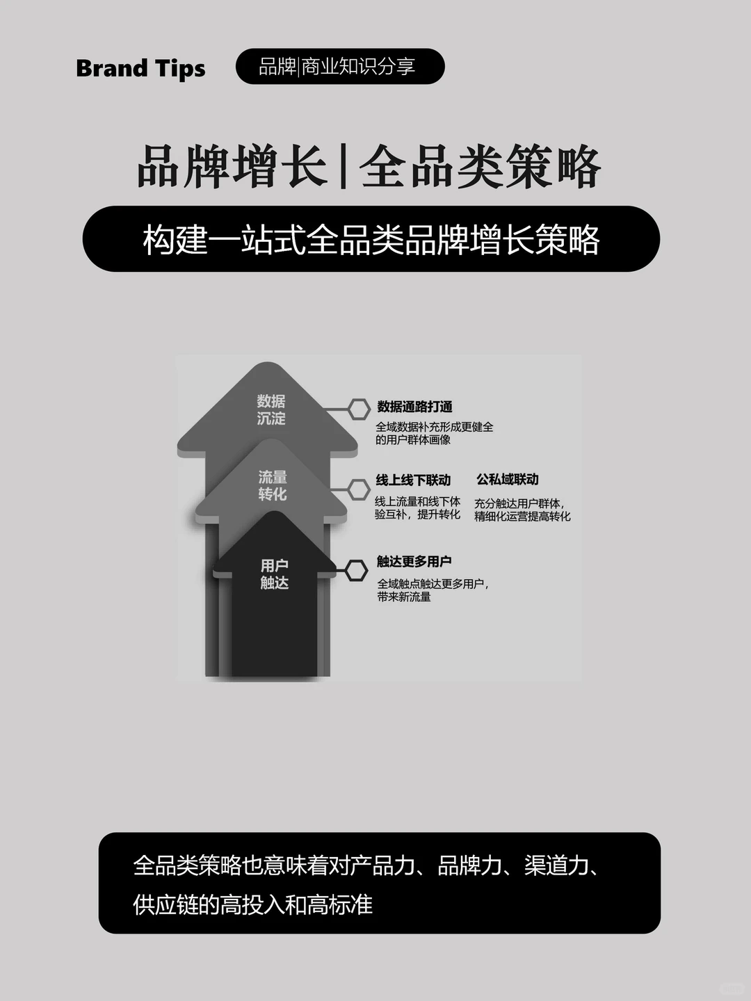 全品类增长策略，提升品牌竞争优势