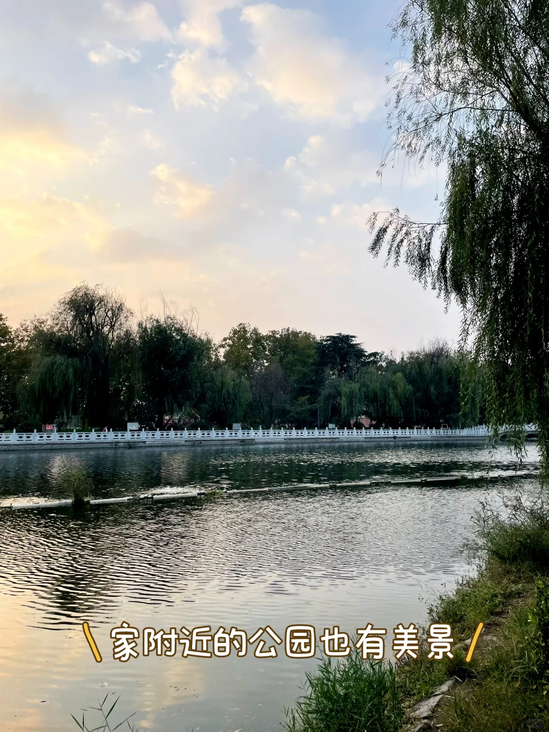 ?建议所有母婴博主:一定要做双赛道!?