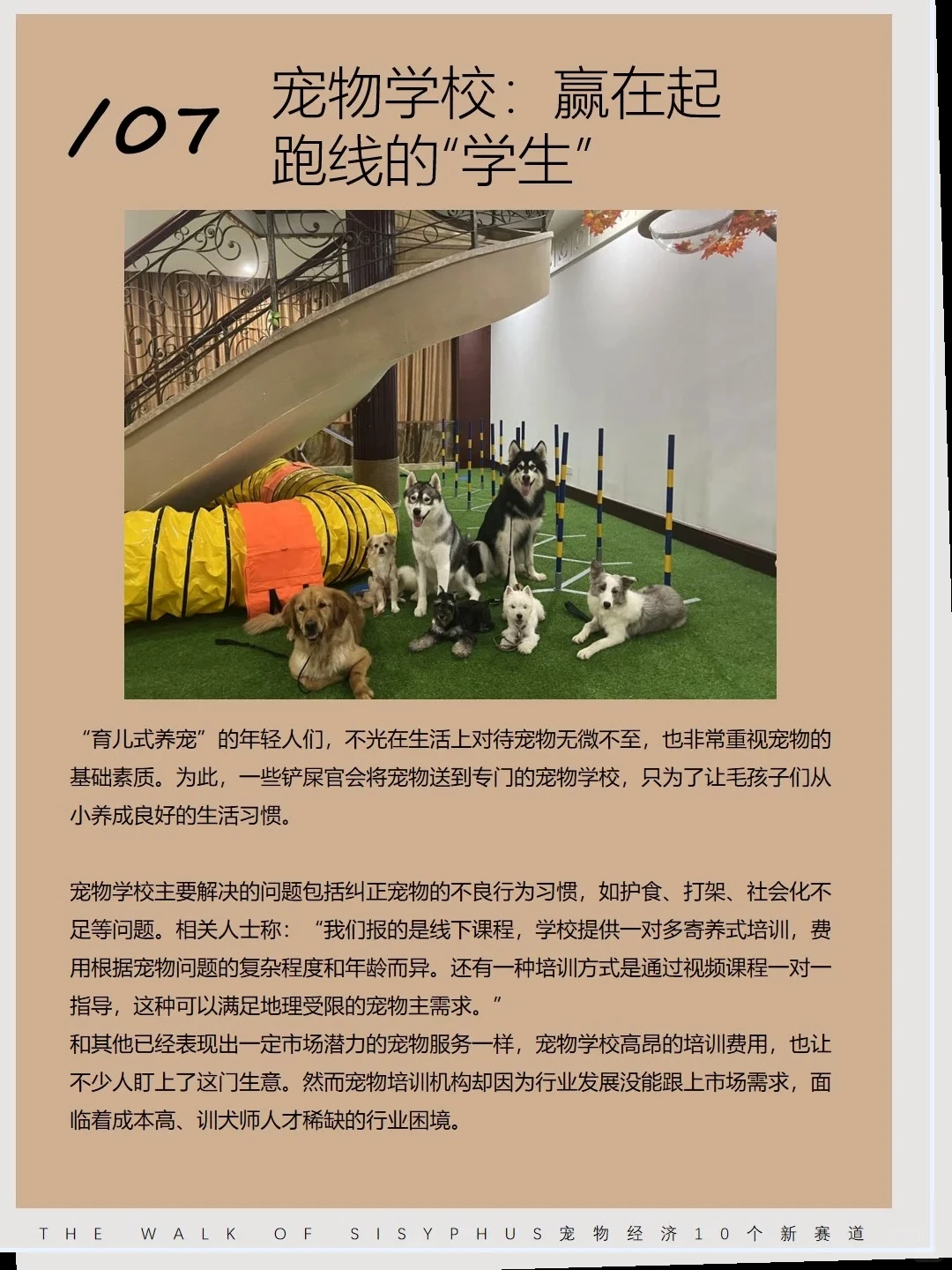 商业洞察|宠物10 个新赛道