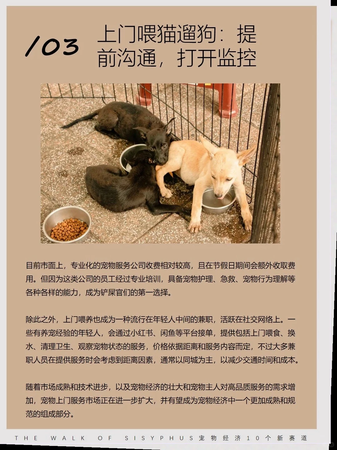 商业洞察|宠物10 个新赛道