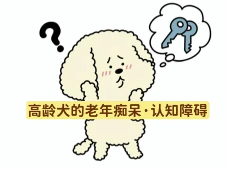 高龄动物的缓和护理——老年痴呆