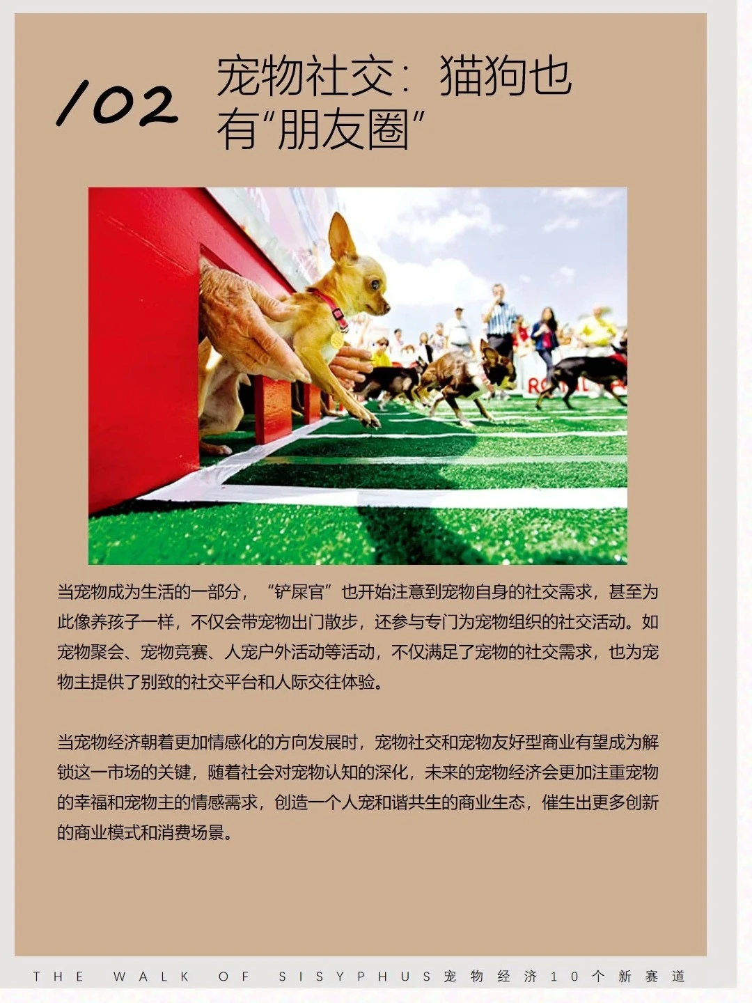 商业洞察|宠物10 个新赛道