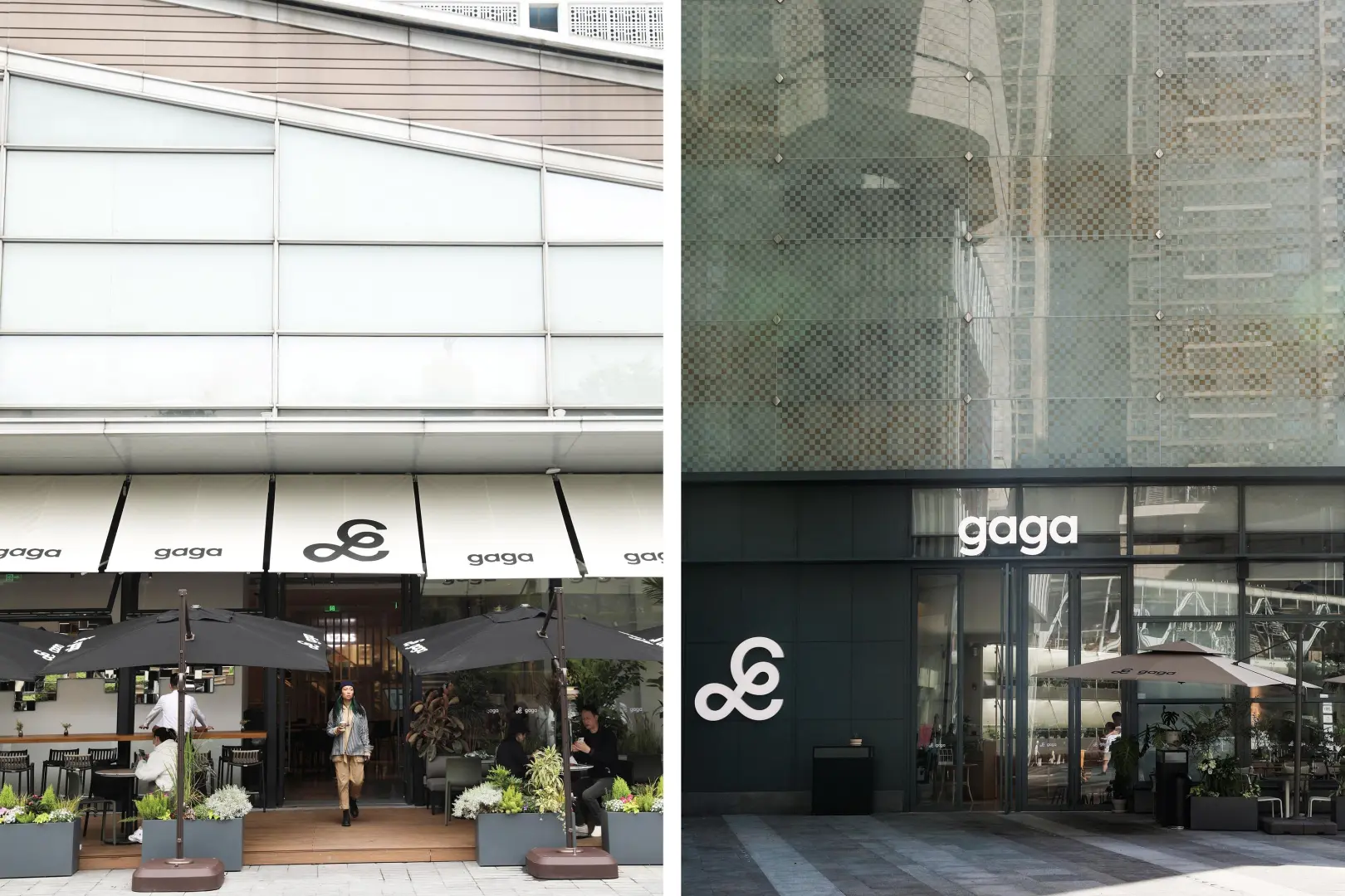 灵感采集|茶饮轻食LOGO设计分享