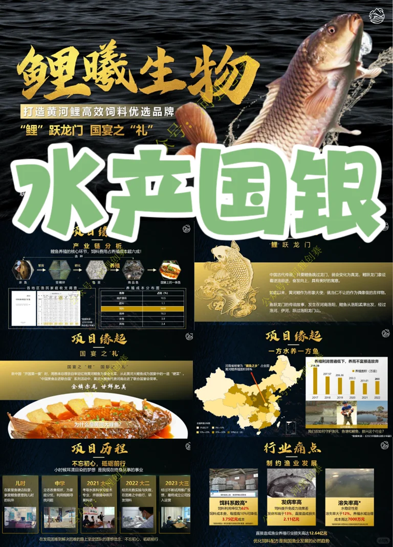 中国国际大学生创新大赛国赛获奖案例展示