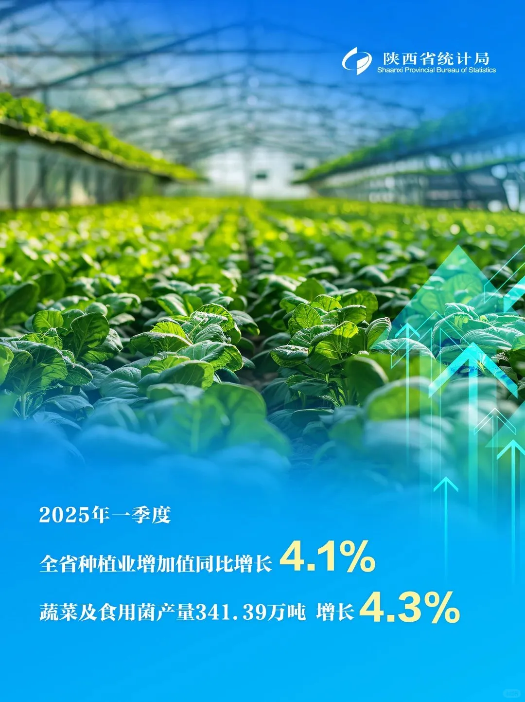 图说经济 | 六组数据透视一季度陕西经济