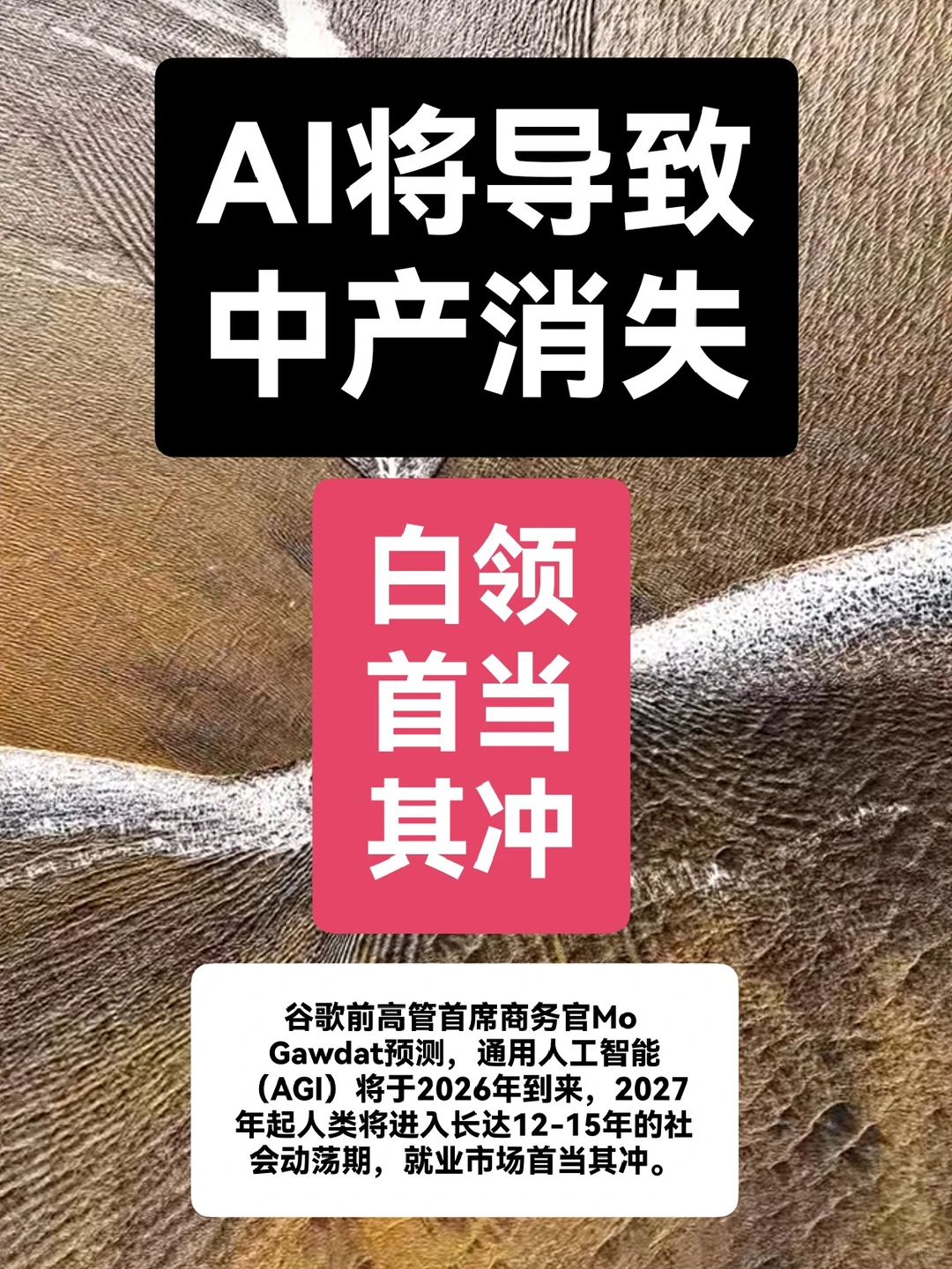 AI将导致中产消失,白领首当其冲,咋办?