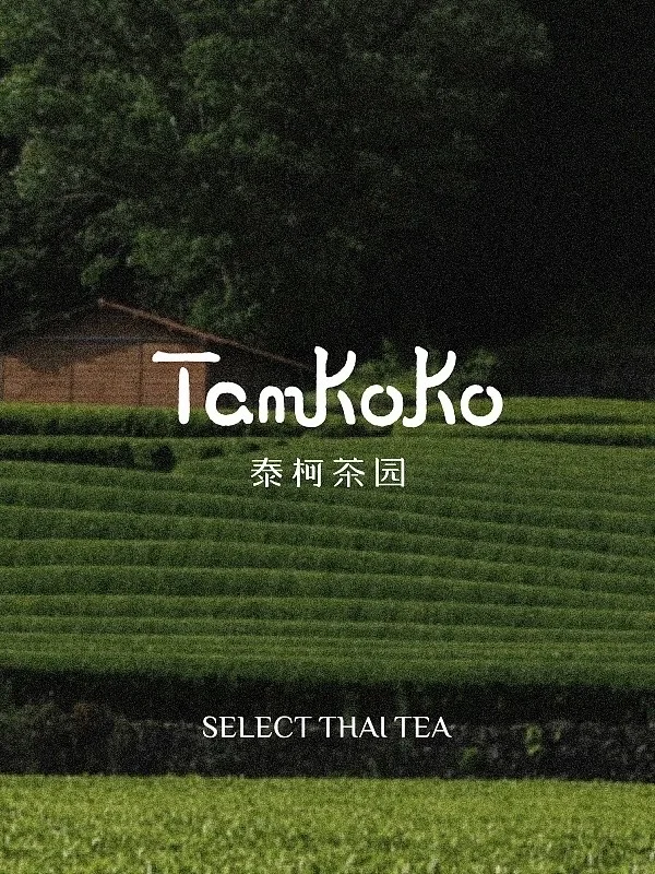 泰奶来袭,福建首家泰柯茶园于烟台山开出!