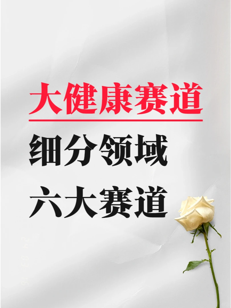 2024年大健康变现很快的六大细分赛道?