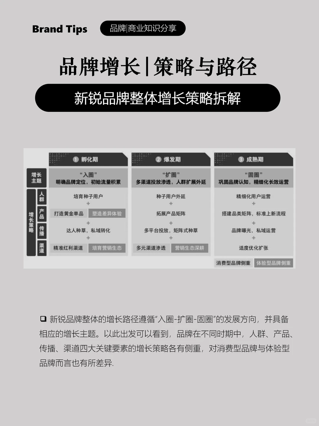 新锐品牌增长路径|策略|驱动力(二)
