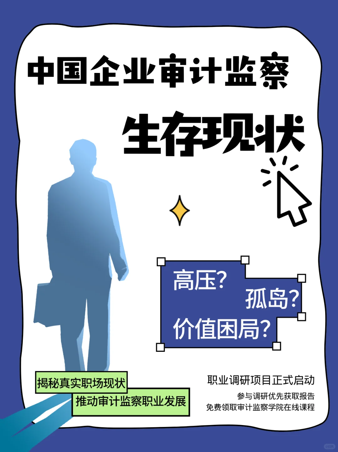 ?审计人速填!这份蓝皮书为你发声!