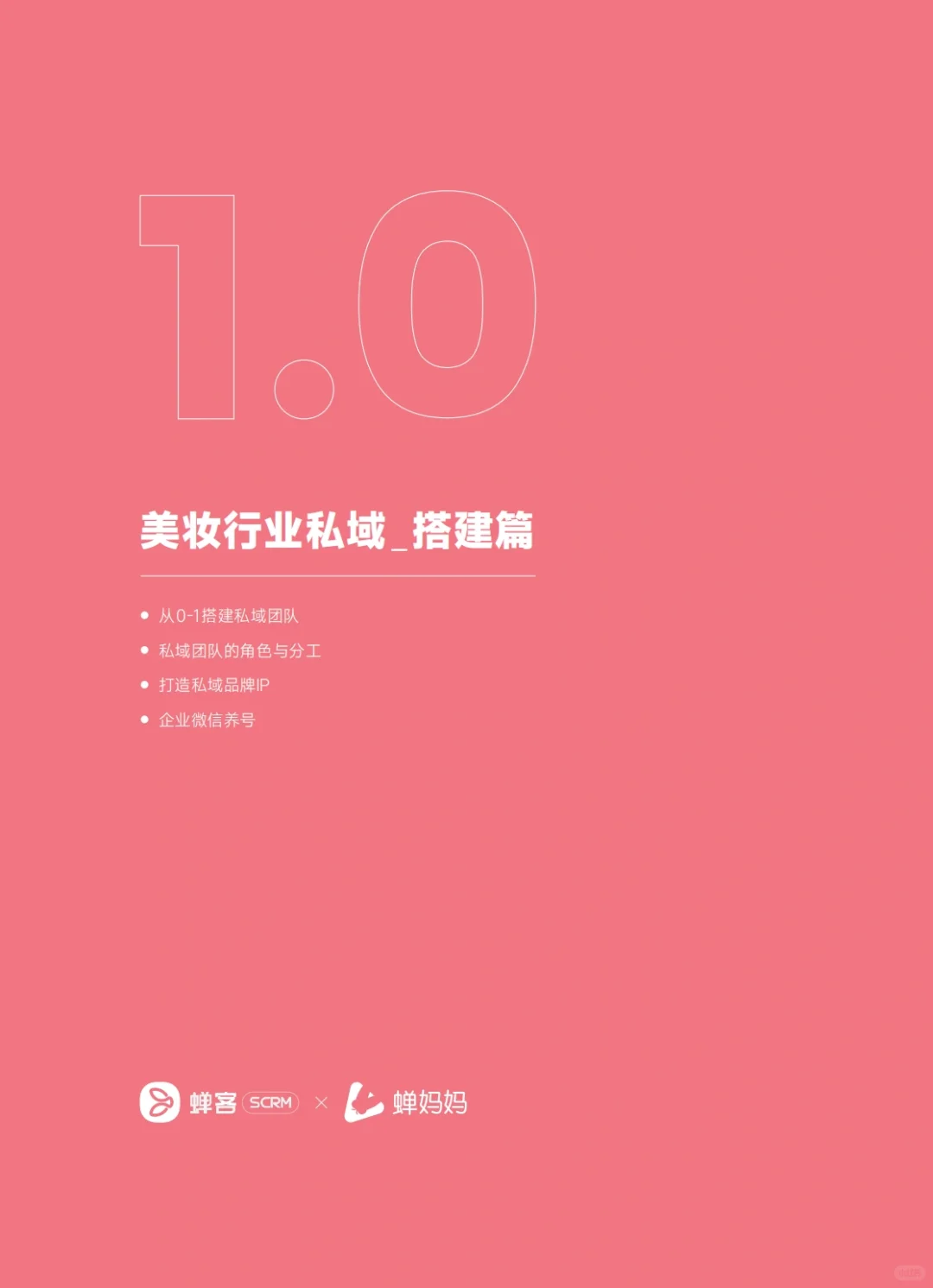 53页报告|学习美妆私域运营指南