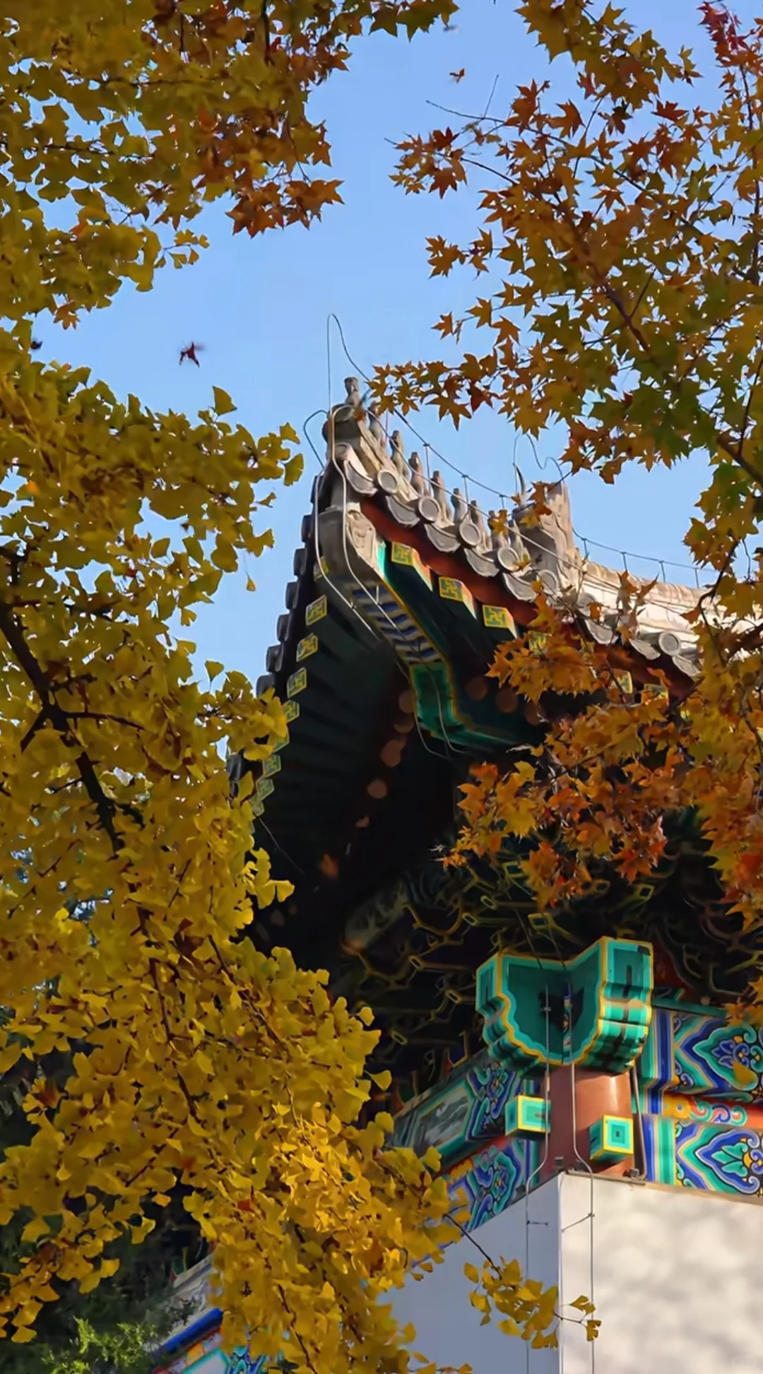 北京大学企业创新与区域经济发展班12月开课