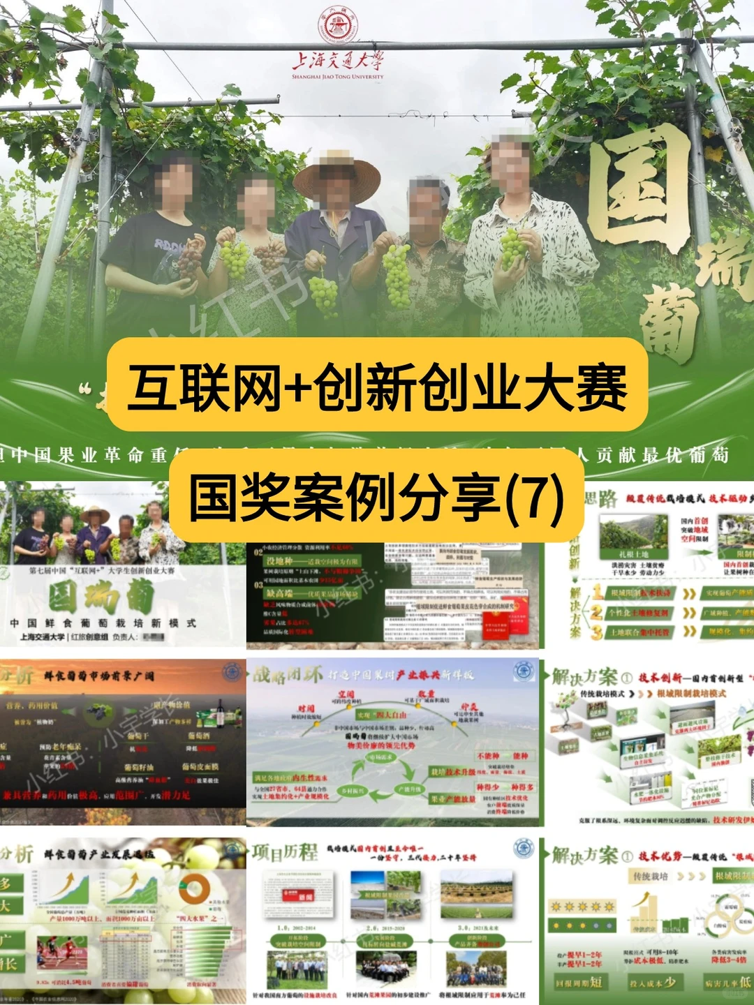 红旅赛道金奖项目｜国瑞葡?❗️