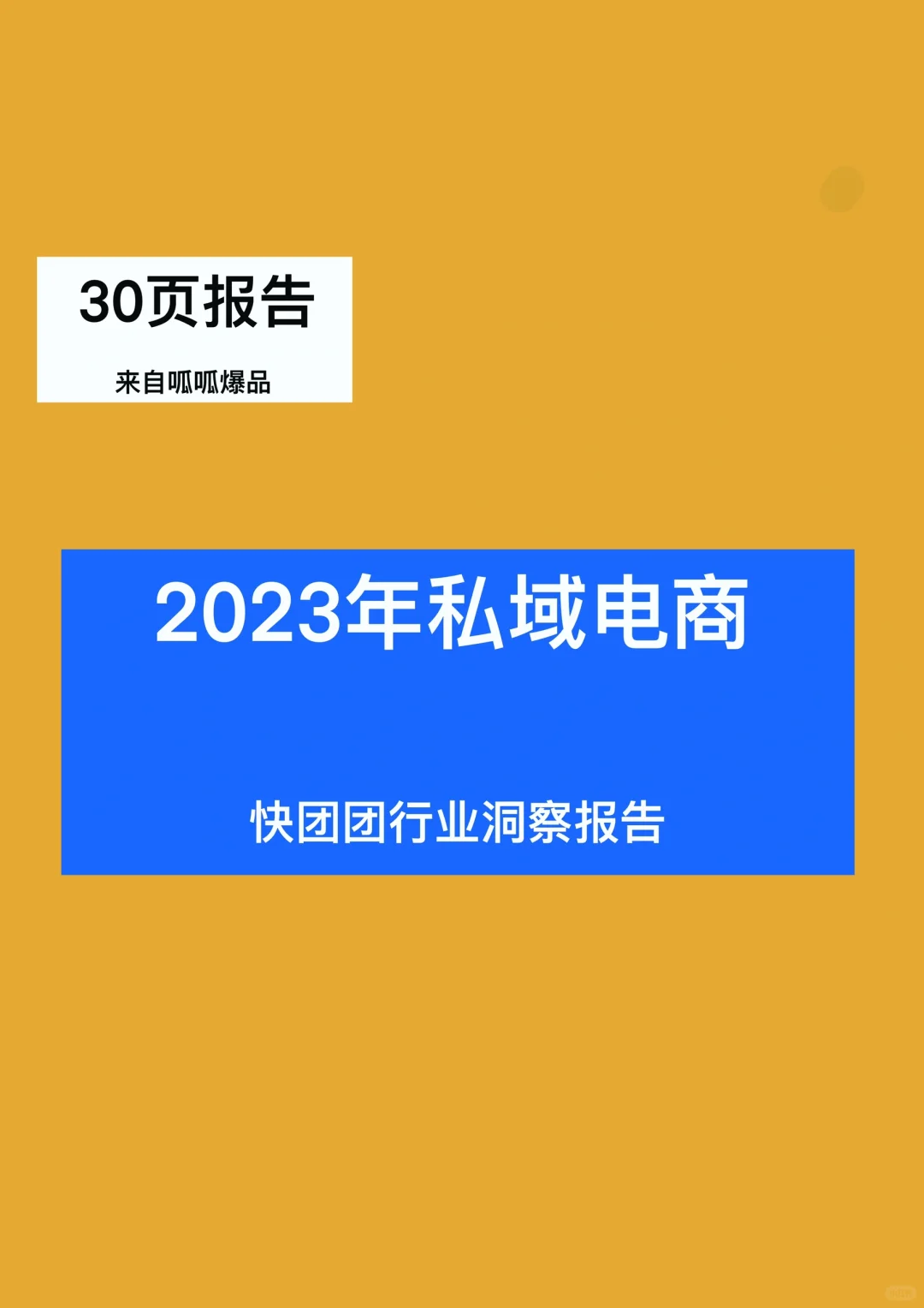 30页报告|了解2023年私域快团团发展趋势