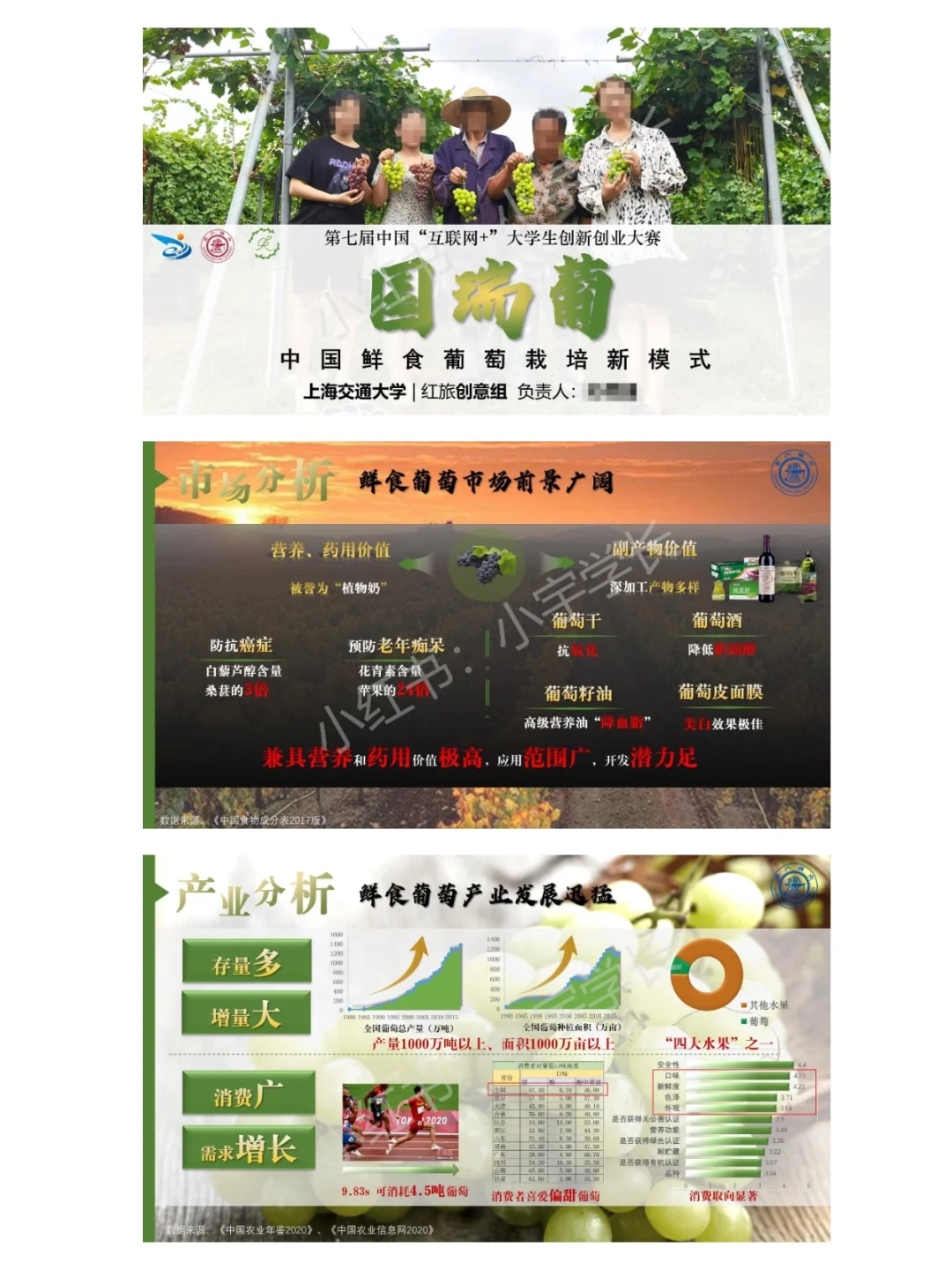 红旅赛道金奖项目｜国瑞葡?❗️