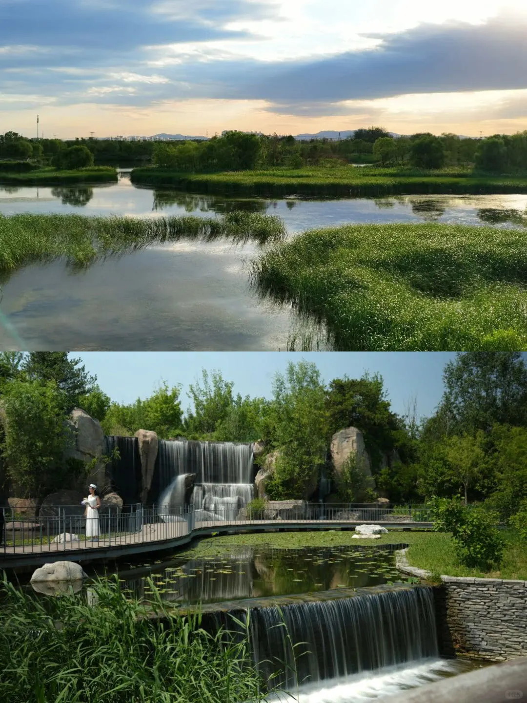 北京温榆河公园喜获国际花园城市项目奖?