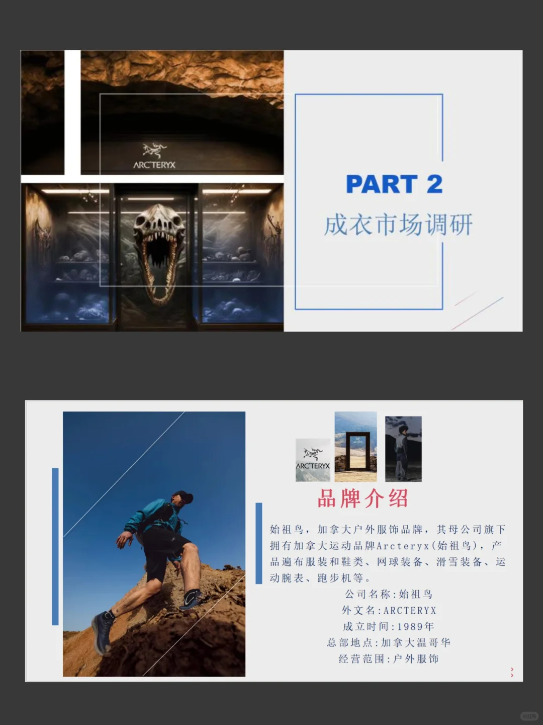 户外运动品牌始祖鸟—调查报告