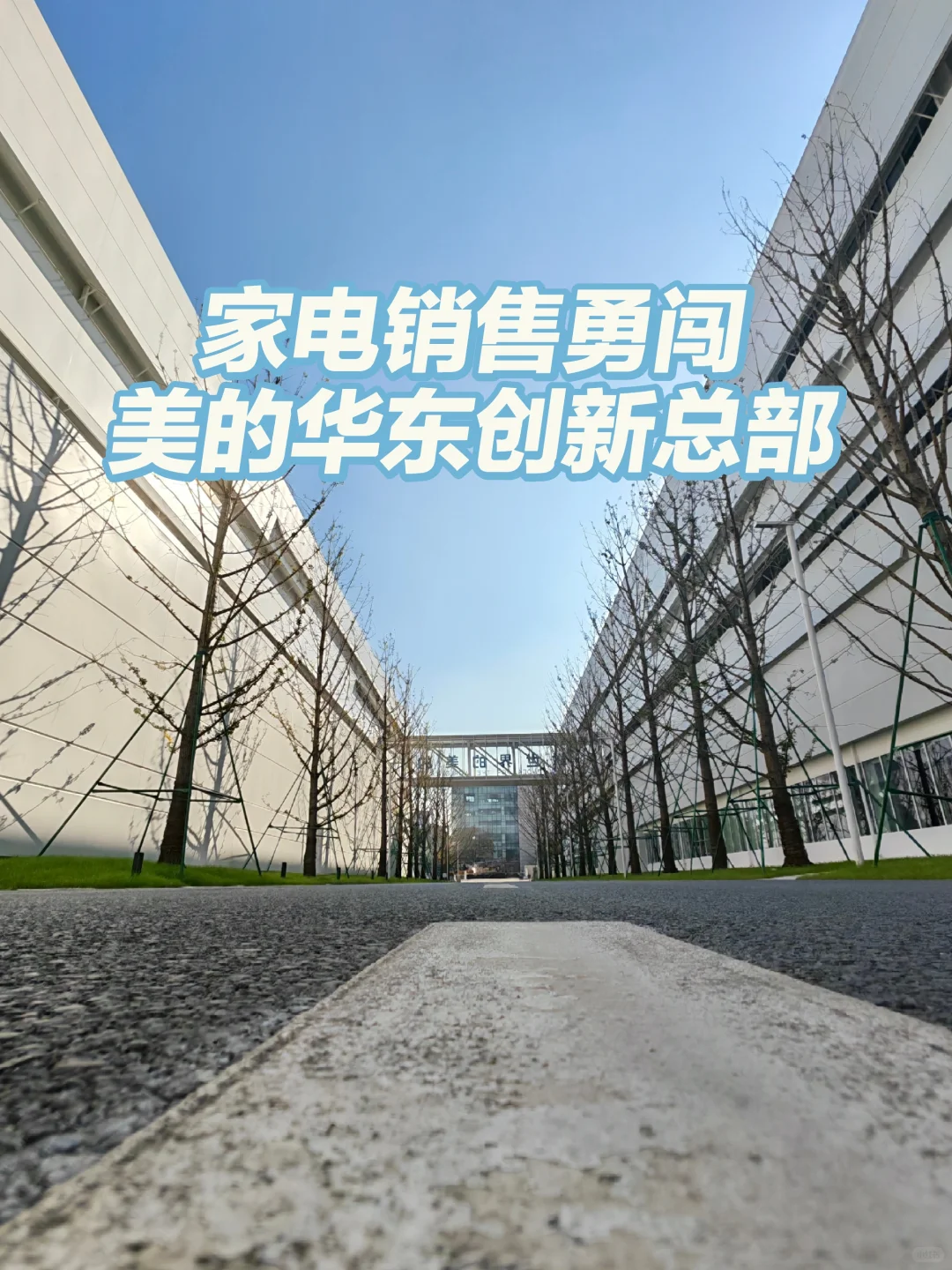 美的华东创新总部学习被“松弛感专业”戳中