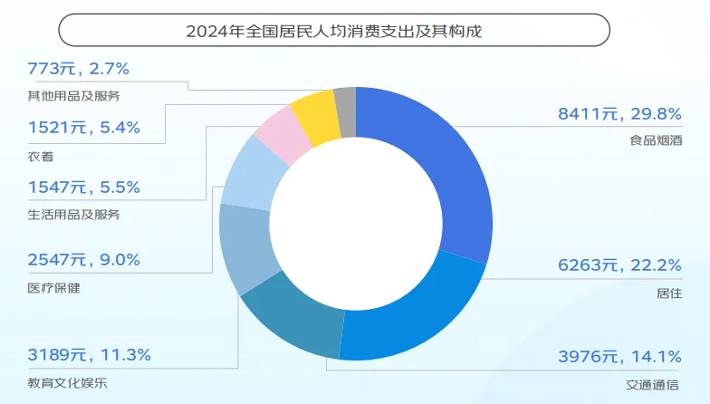 2025年线上消费市场分析报告（9份）