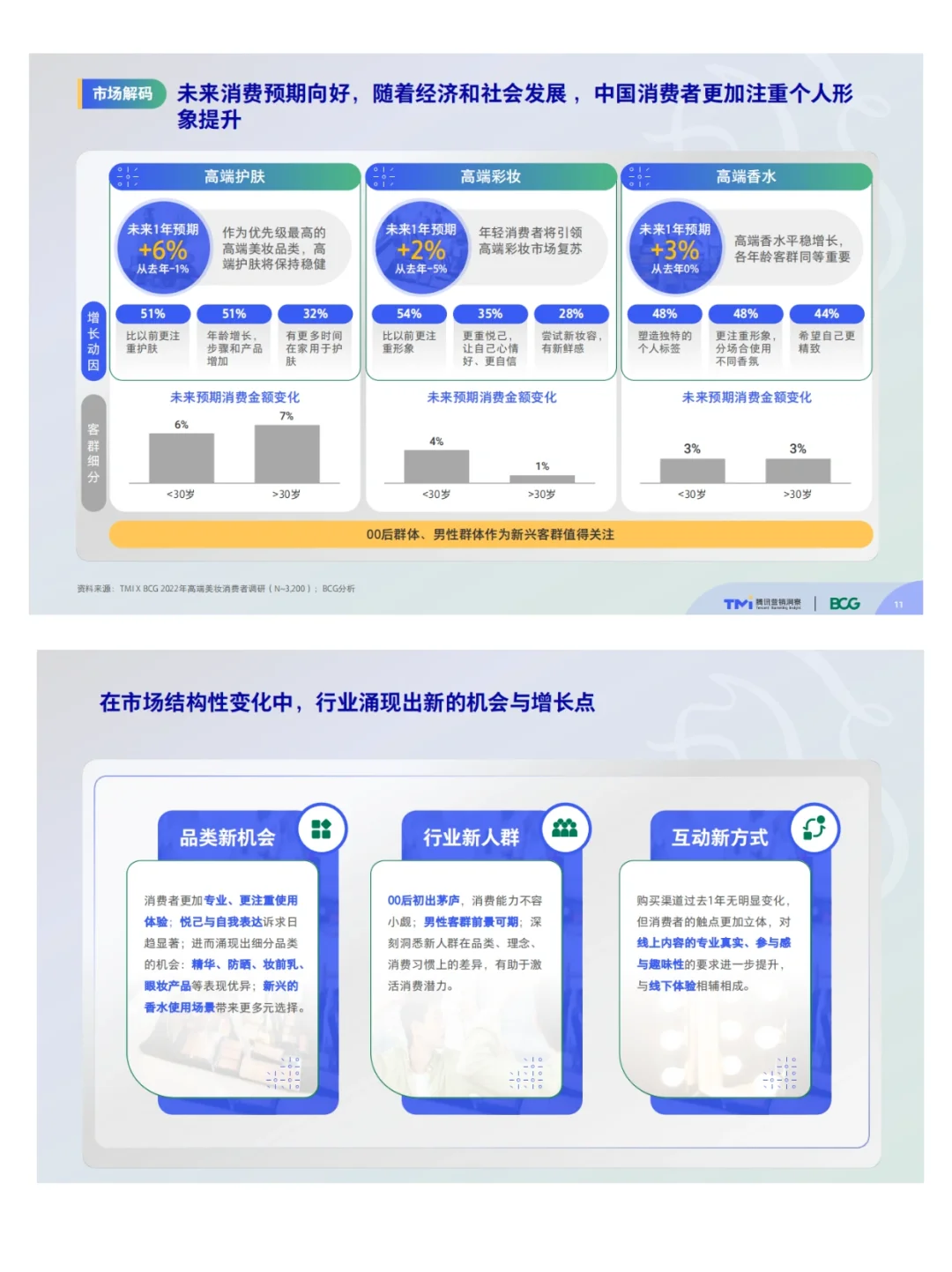 中国高端美妆市场洞察行业｜行业分析报告