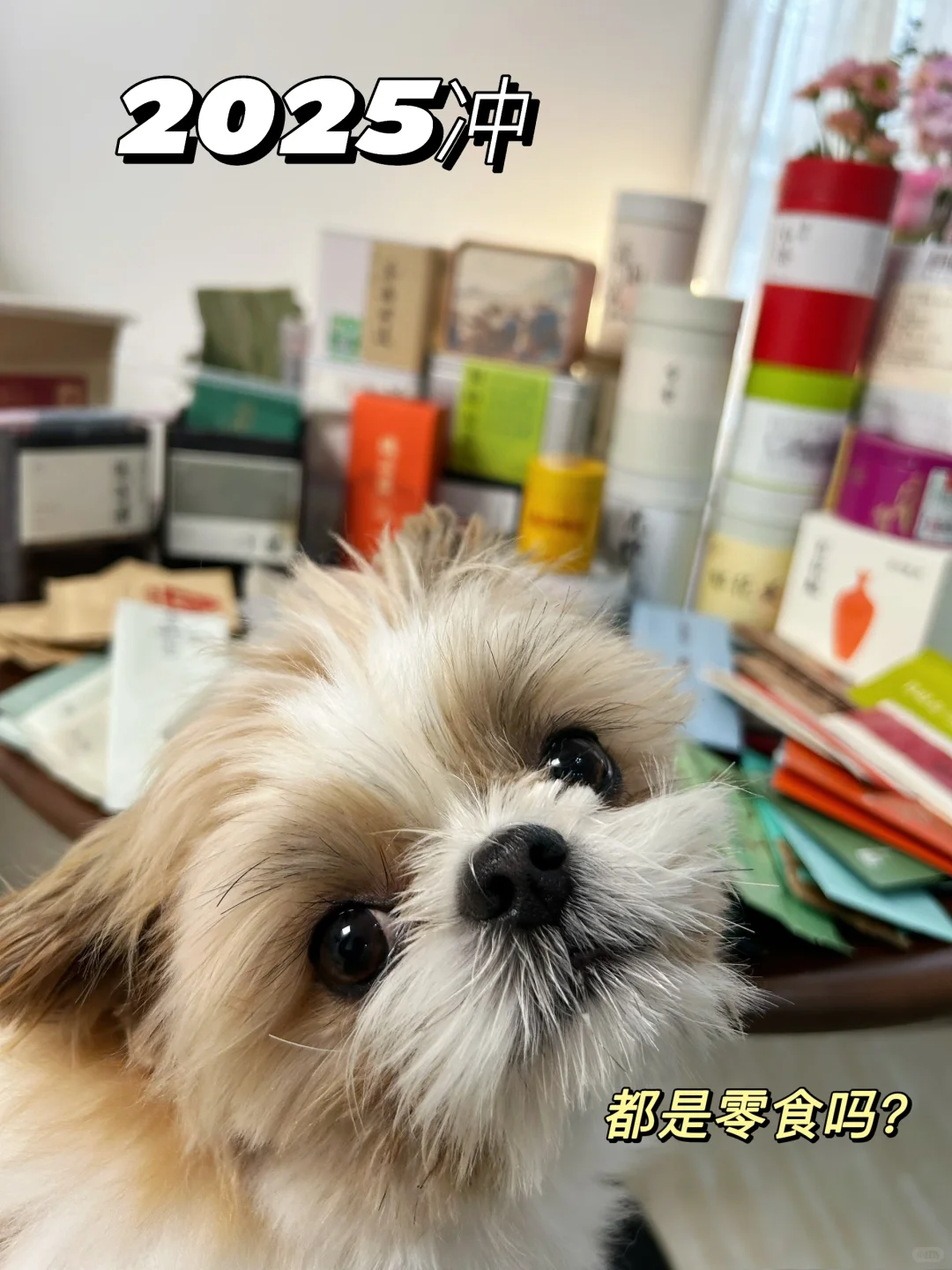 ?????? ??? ☕️茶博主的年终报告!