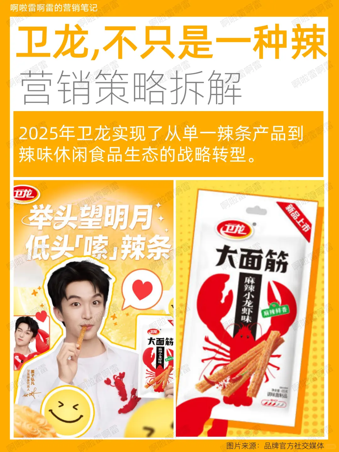 卫龙品牌2025年营销策略深度解析