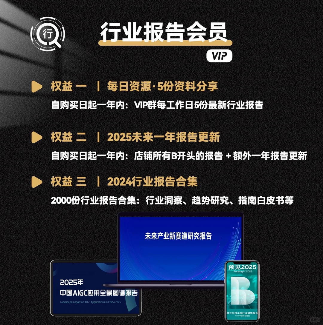 2025消费新潜力洞察