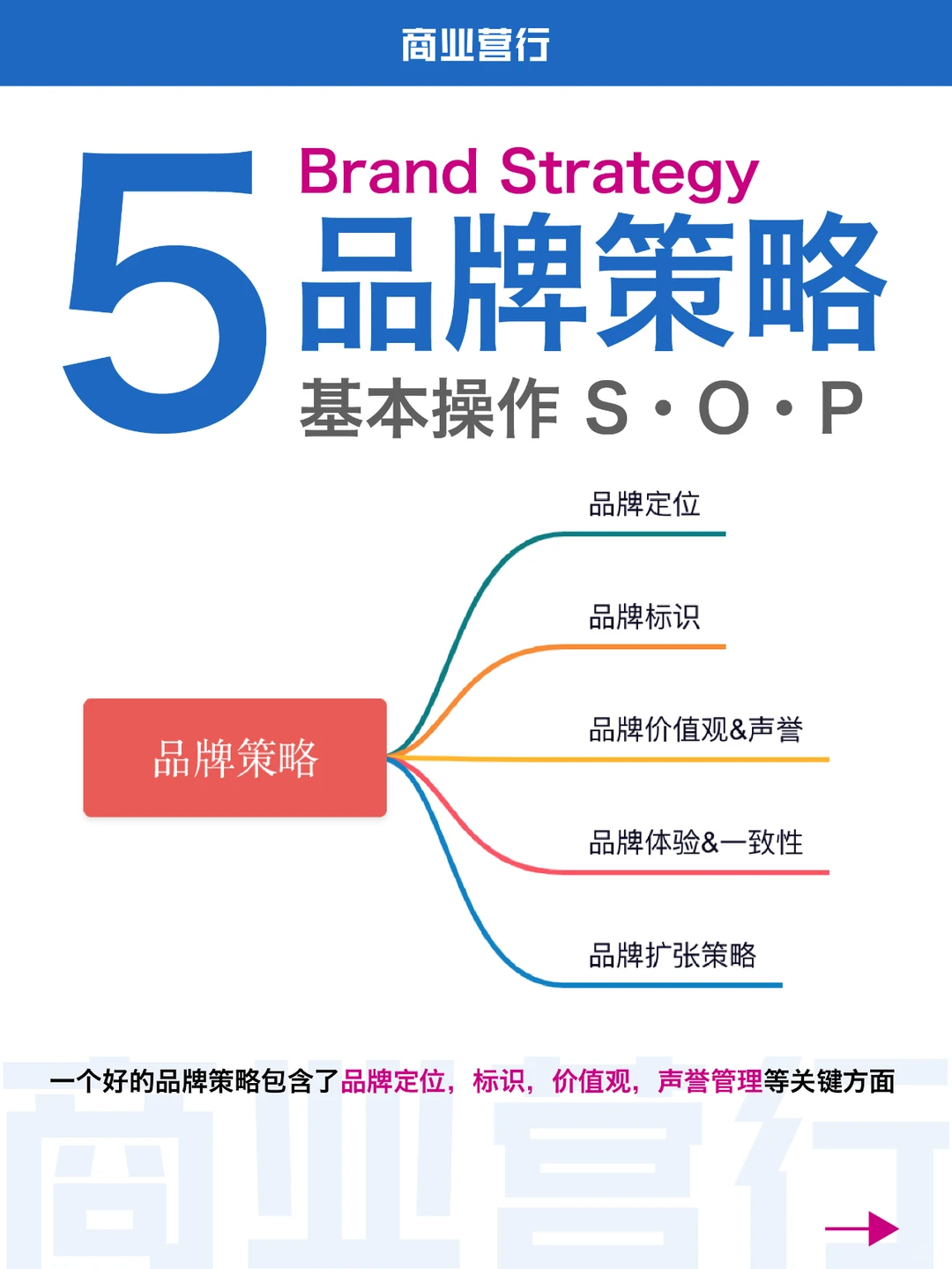 5⃣️大品牌策略｜底层逻辑