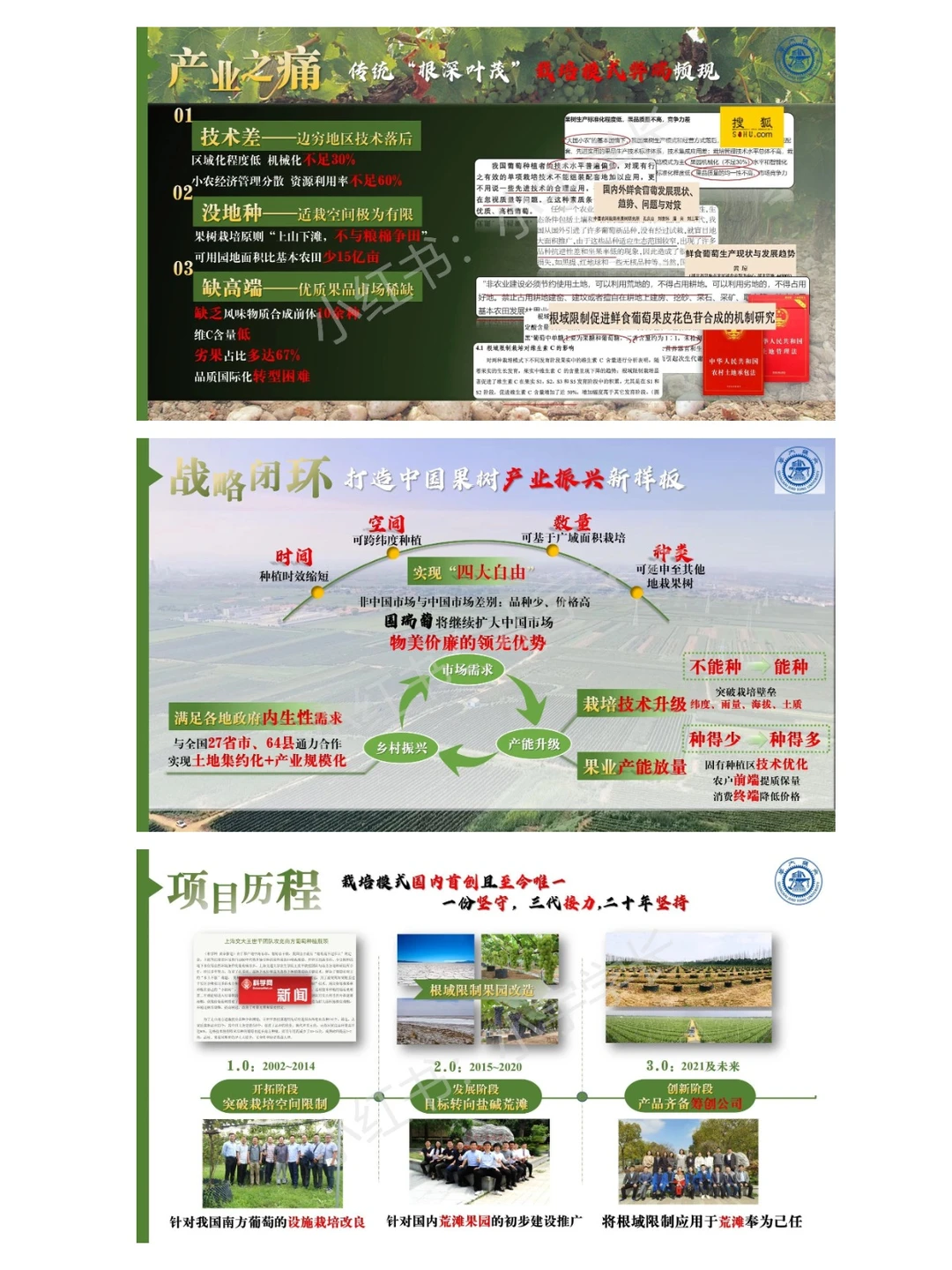 红旅赛道金奖项目｜国瑞葡?❗️