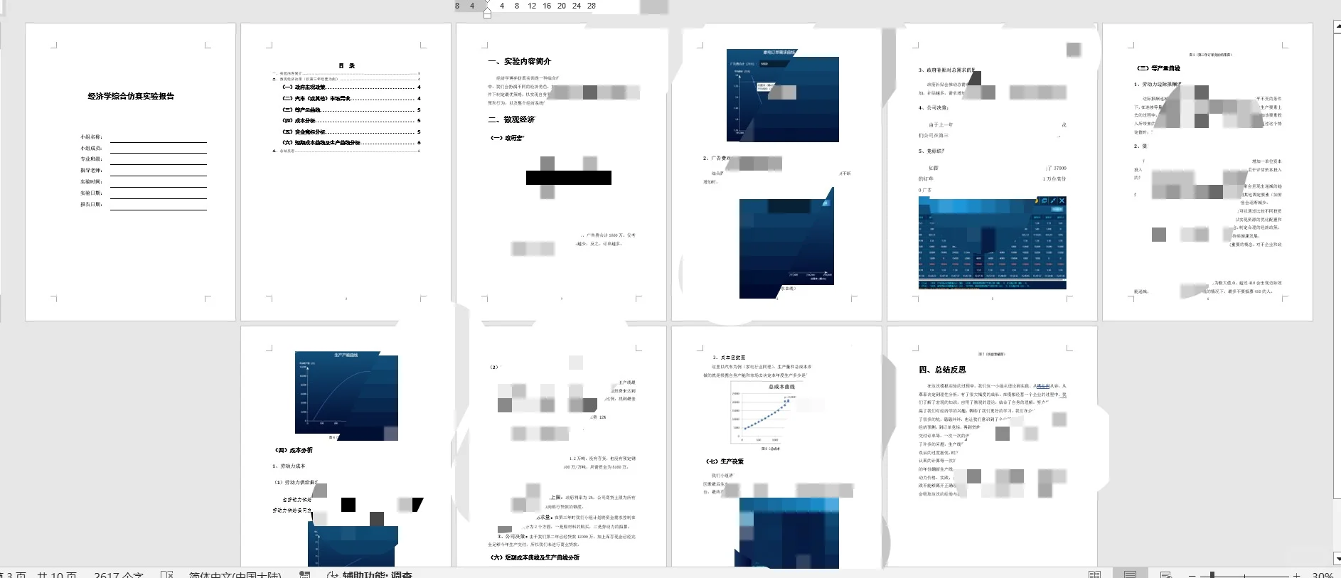 经济博弈实训报告（汽车家电适用模版）