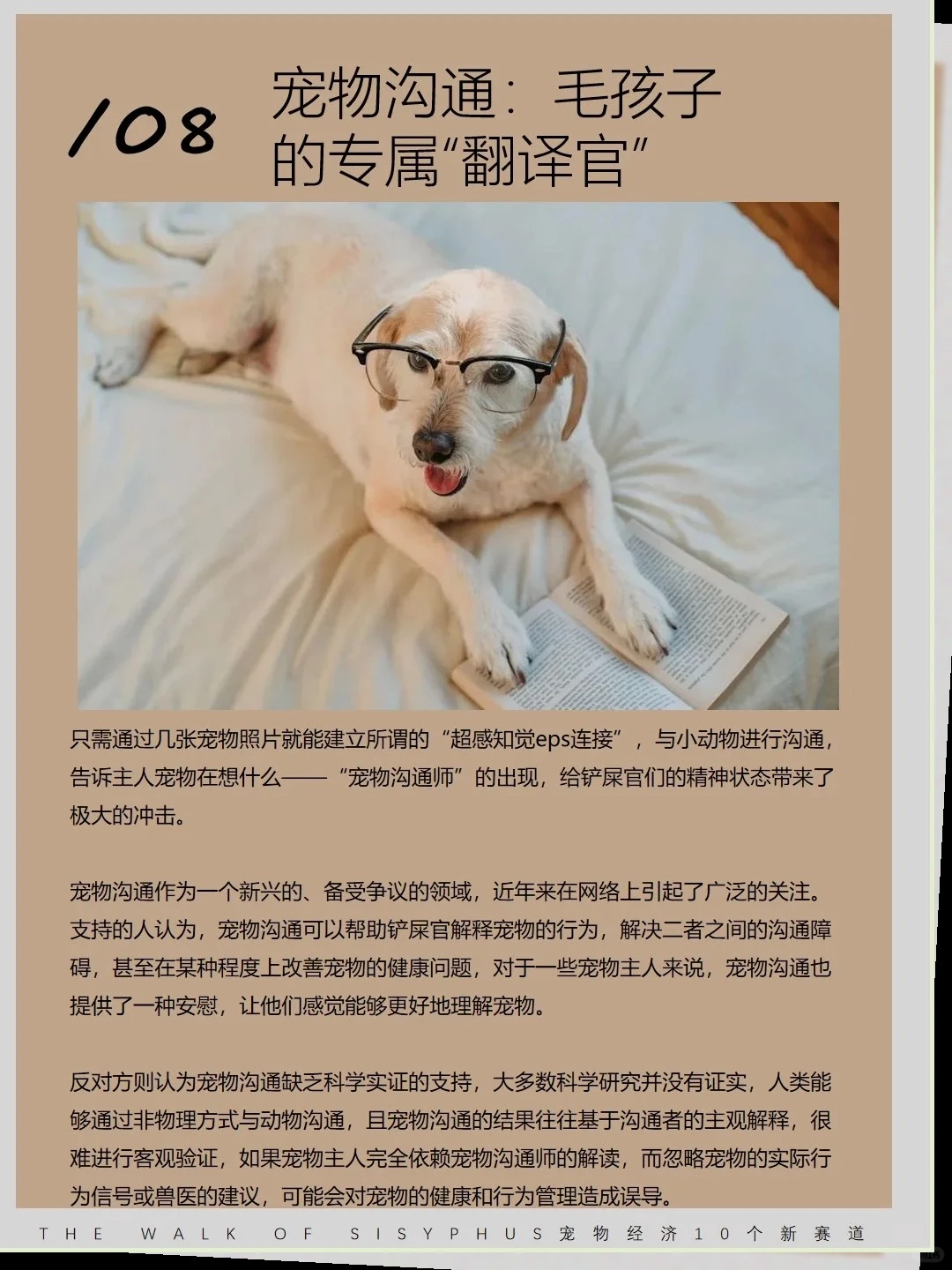 商业洞察|宠物10 个新赛道