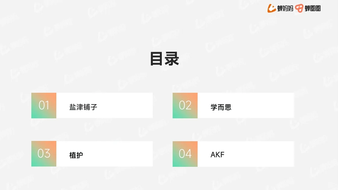 达人营销品牌案例 行业研究报告