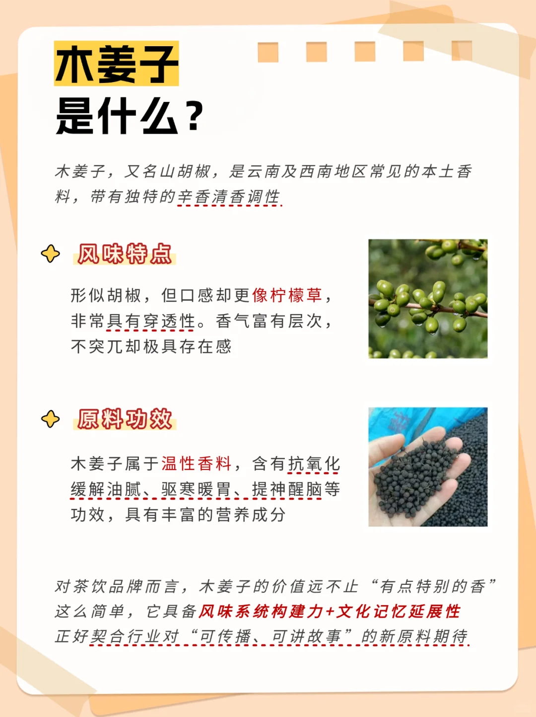 从小众香料到茶饮顶流，木姜子凭啥火？