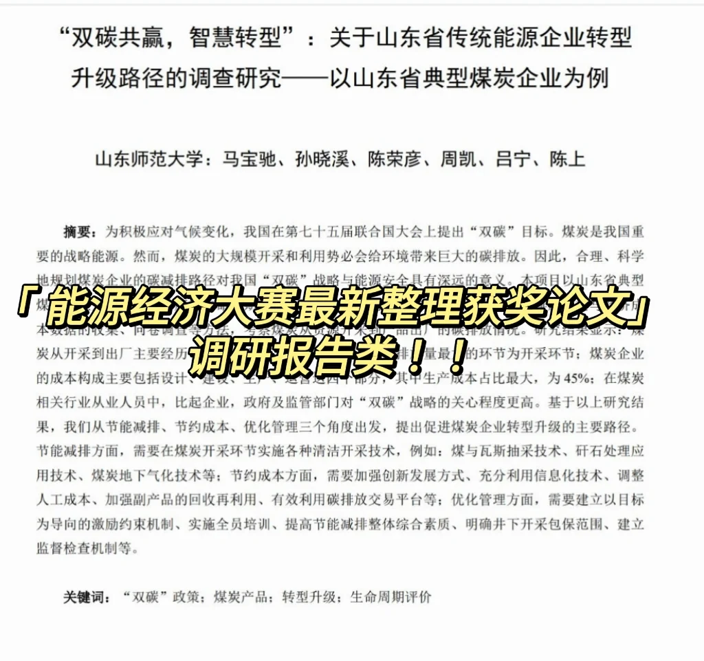 调研报告类能源经济大赛获奖作品本科组