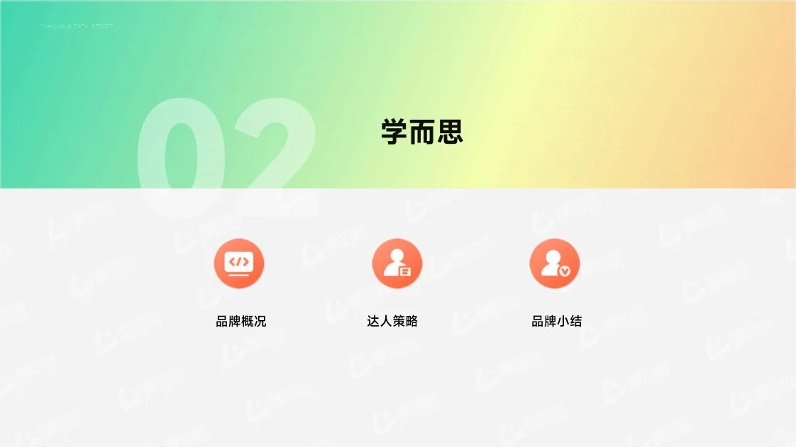 达人营销品牌案例 行业研究报告