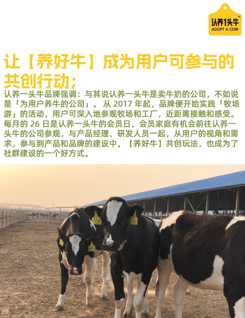 品牌分析?网红品牌认养一头牛怎么做营销?