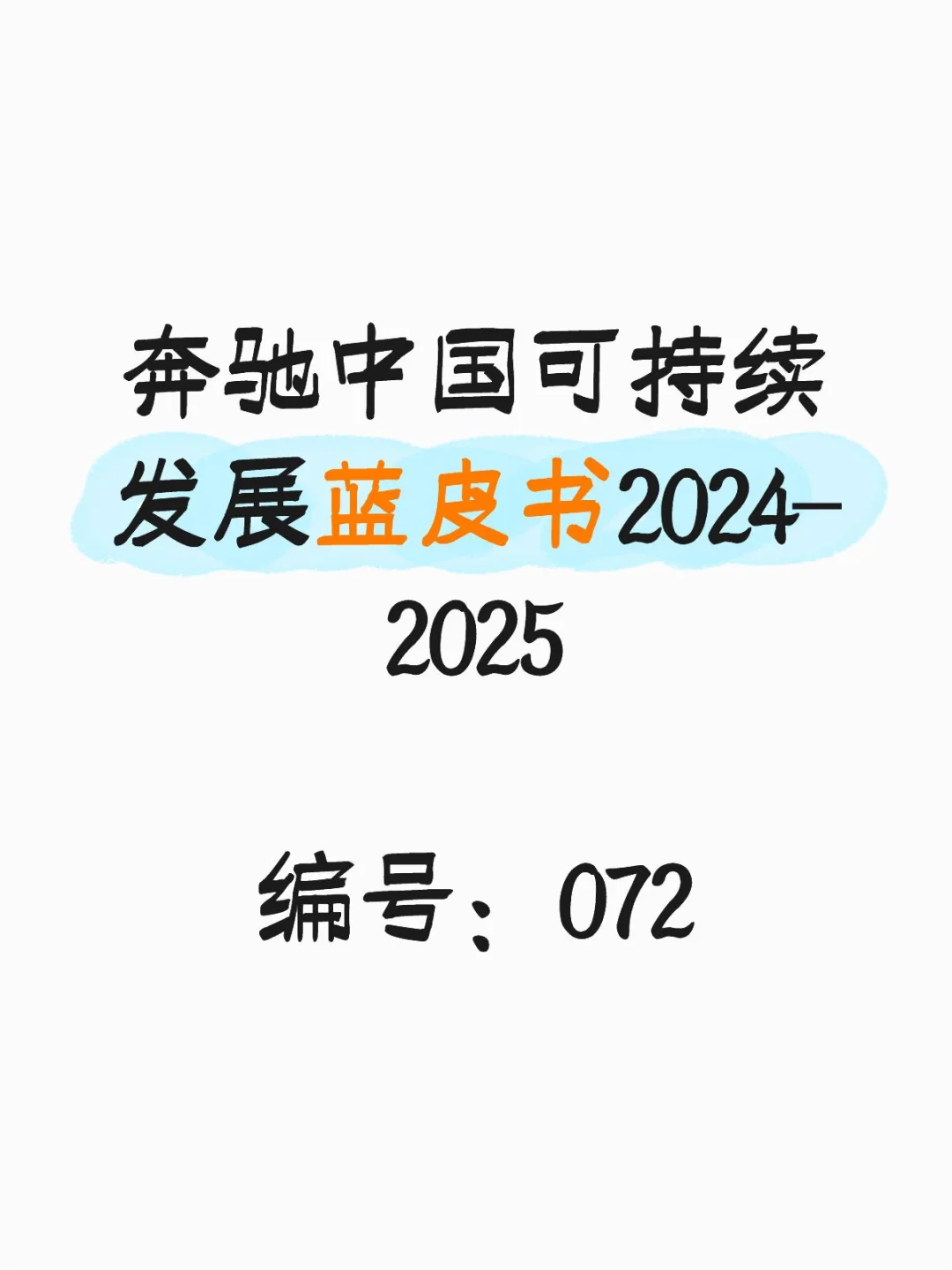 奔驰中国可持续发展蓝皮书2024-2025