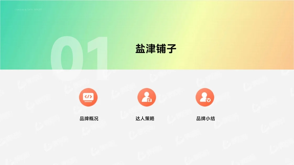 达人营销品牌案例 行业研究报告