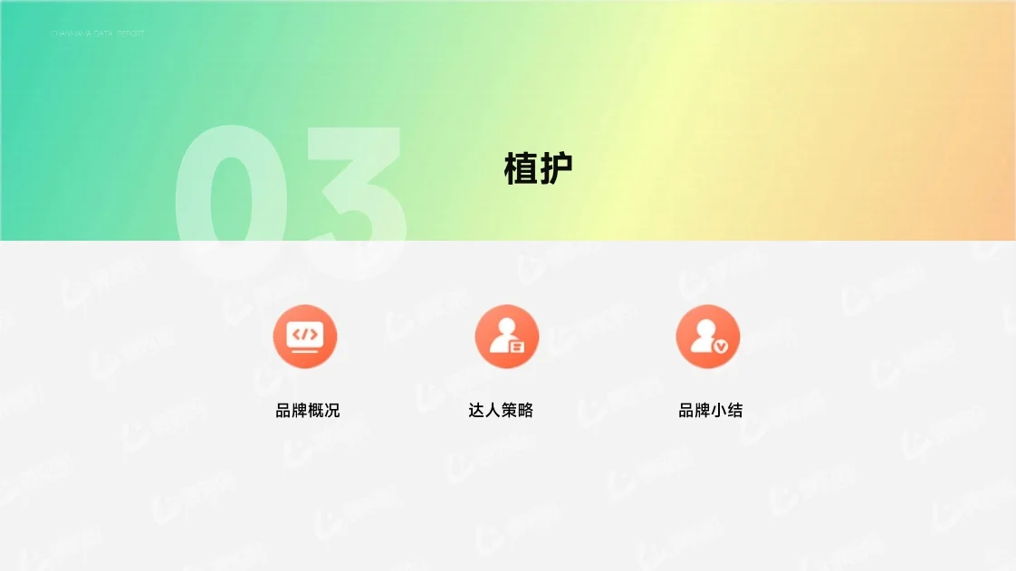 达人营销品牌案例 行业研究报告