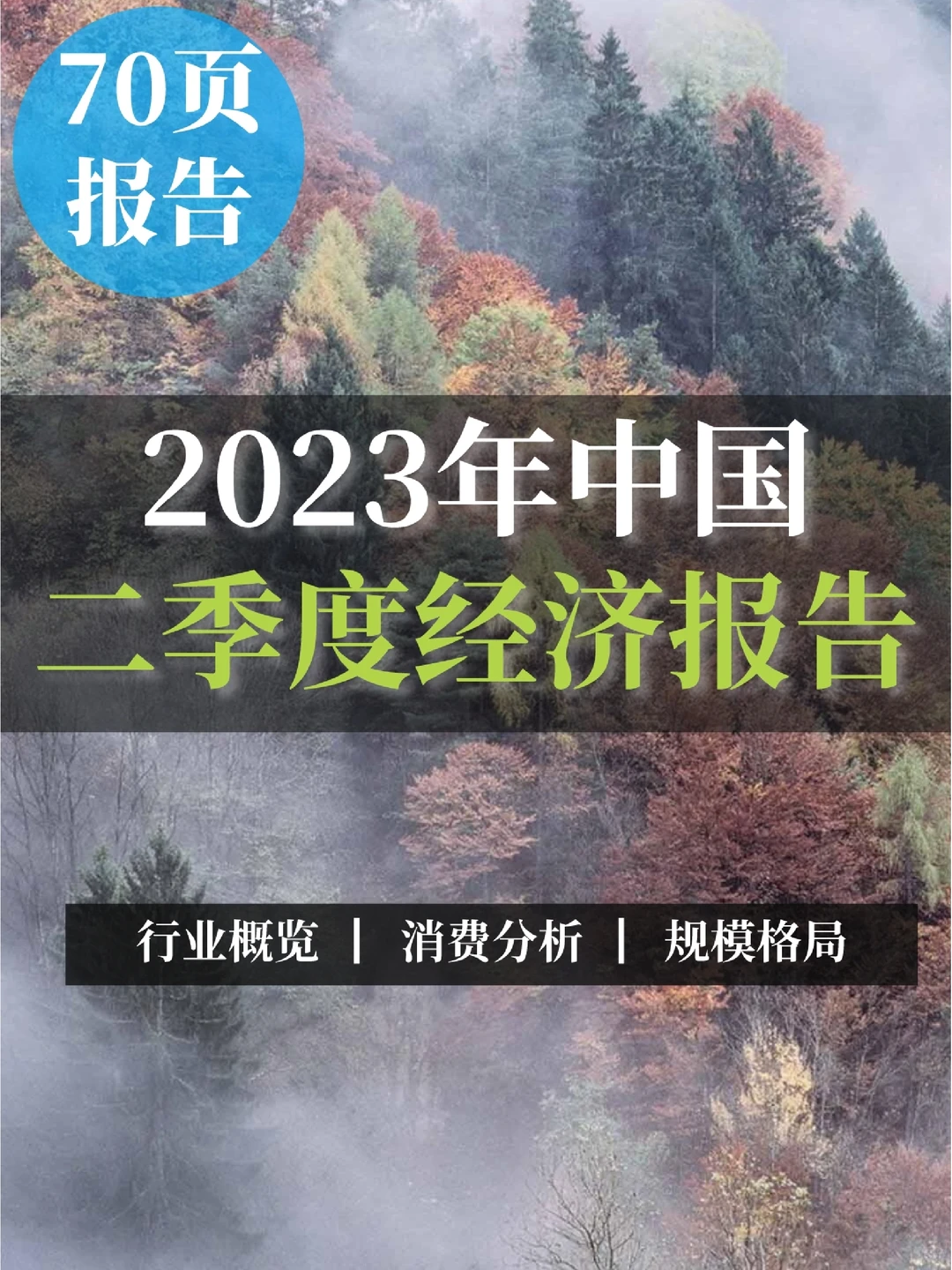 70页报告|2023年中国二季度经济研究报告