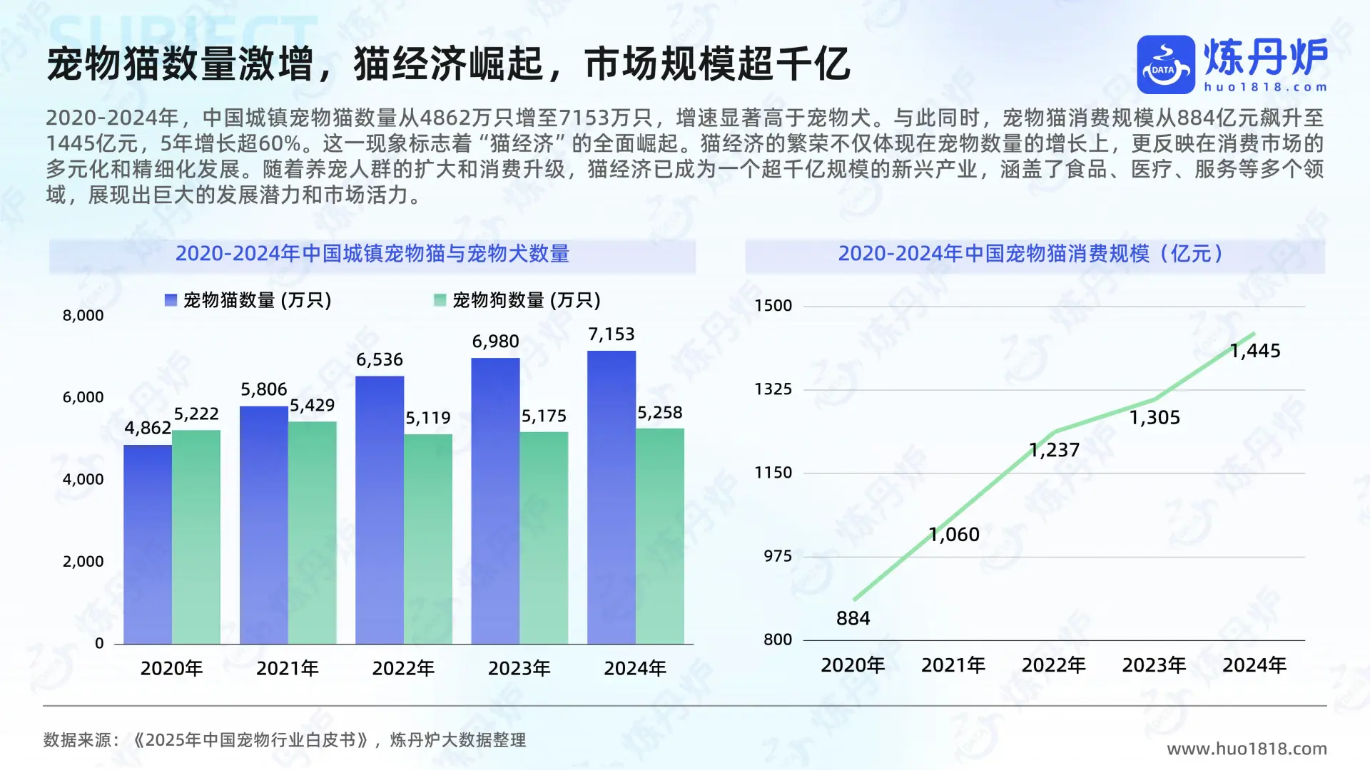 2025年“猫经济”消费趋势洞察报告