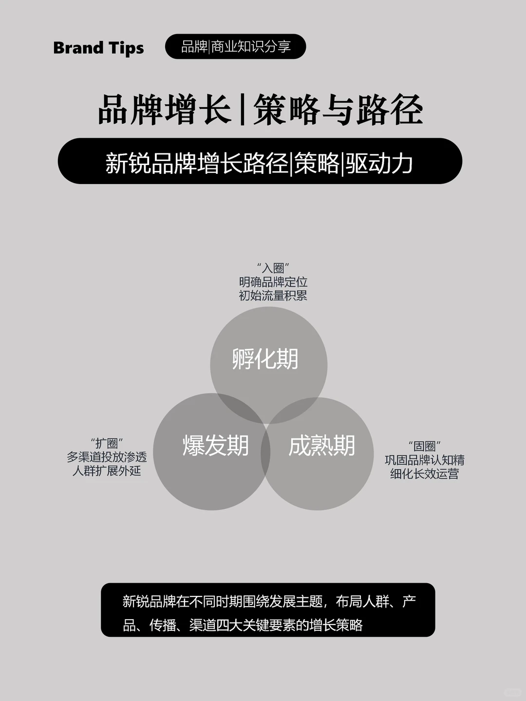 新锐品牌增长路径|策略|驱动力(二)