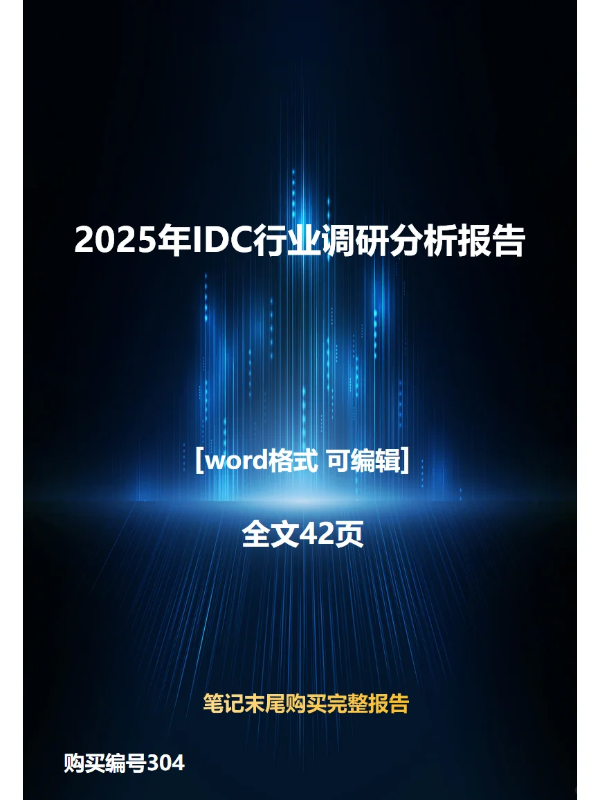 2025年IDC行业调研分析报告