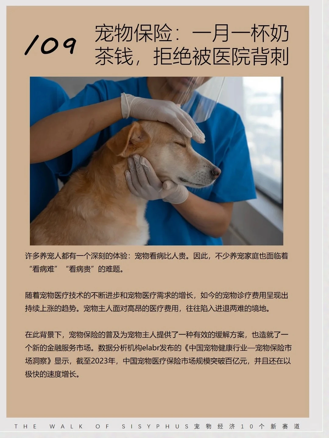 商业洞察|宠物10 个新赛道
