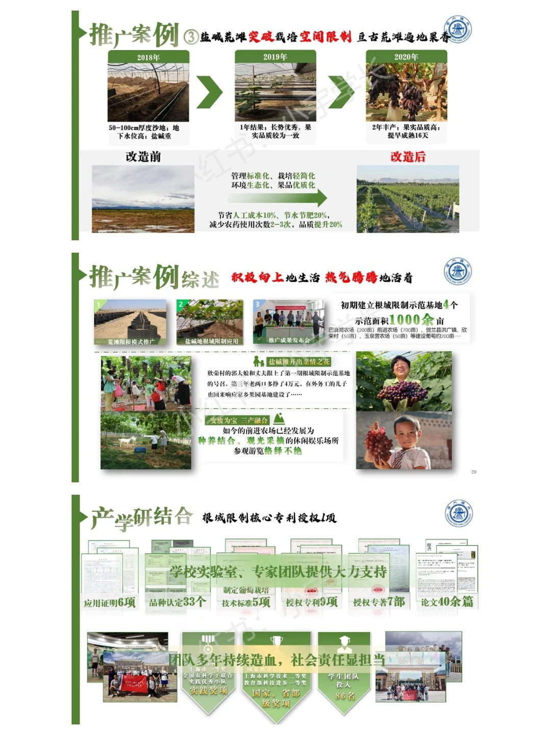 红旅赛道金奖项目｜国瑞葡?❗️