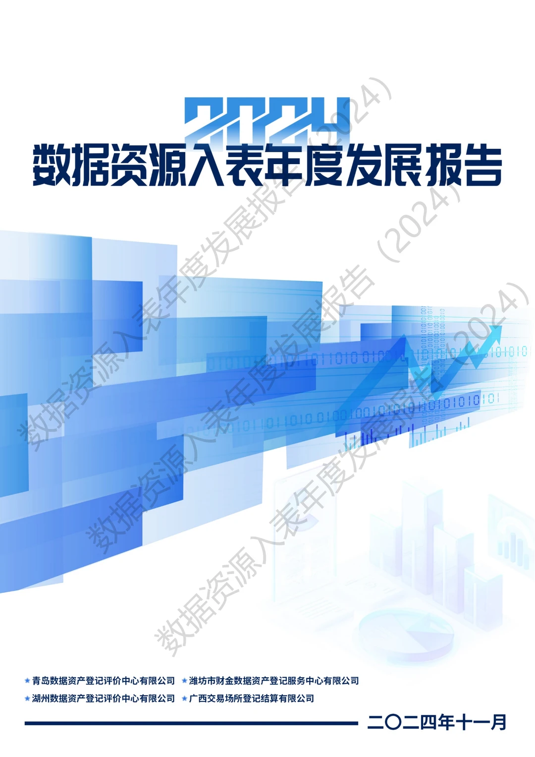 全国数据资源入表年度发展报告（2024）