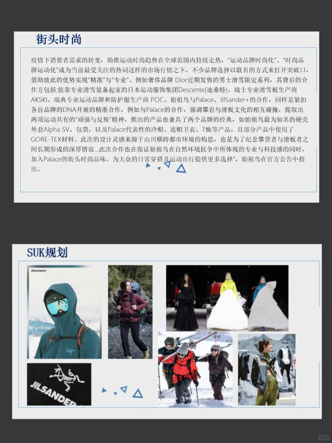 户外运动品牌始祖鸟—调查报告