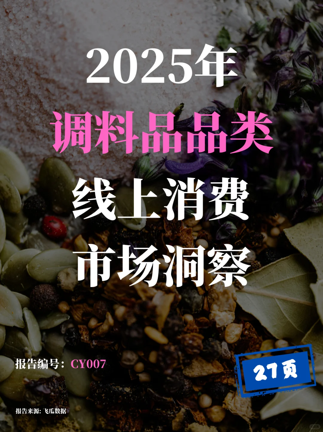 2025调料品品类线上消费市场洞察