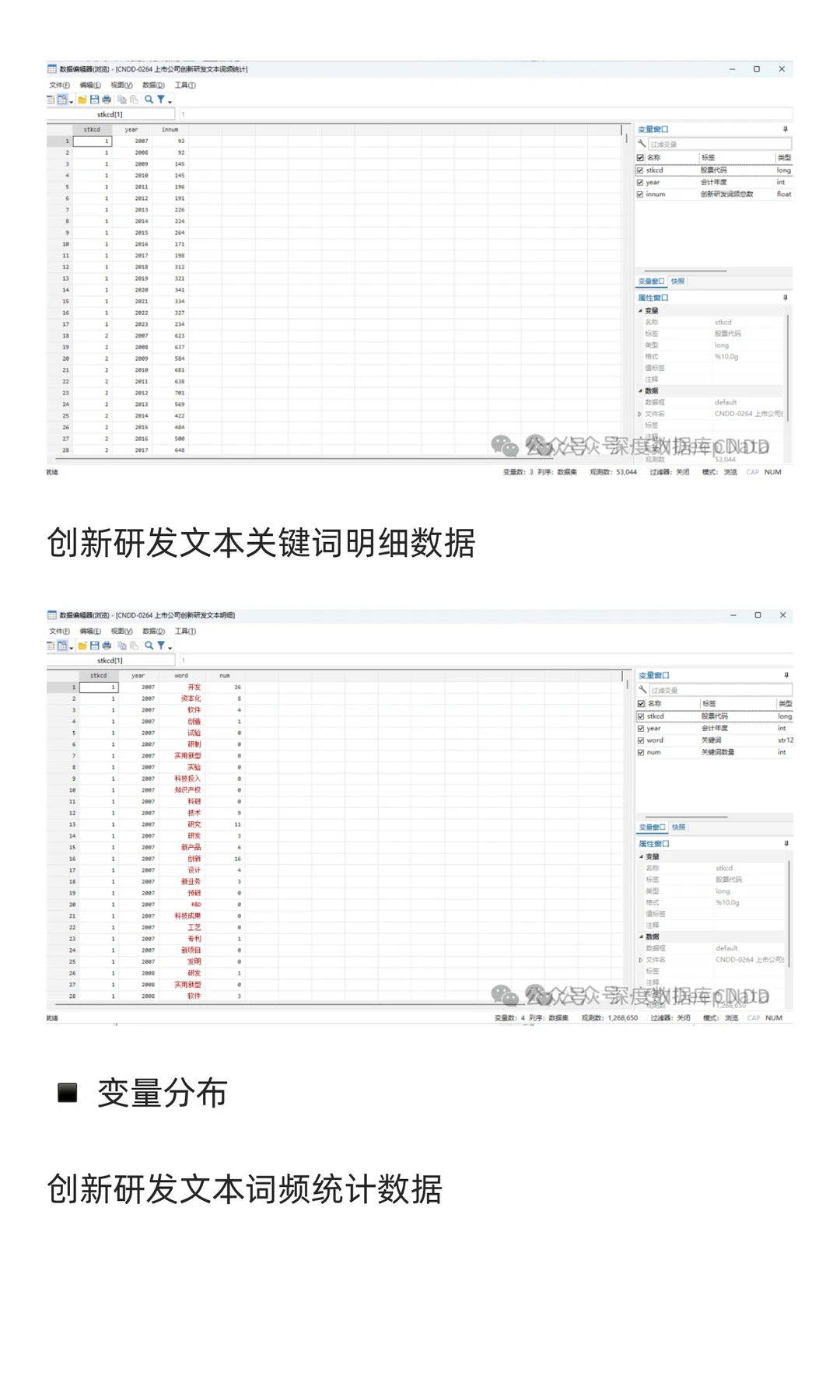 CNDD-0264 上市公司创新研发文本词频数据