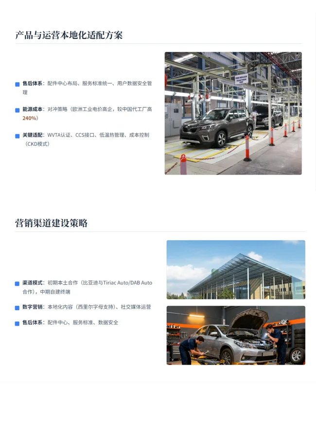 新能源汽车东欧市场出海调研报告?